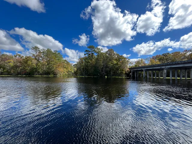 Trout Creek Marina Bait