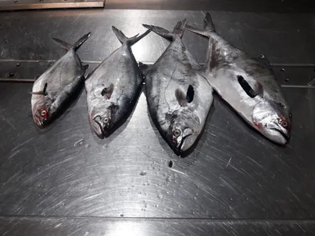 La ÑORA tasca-comedor