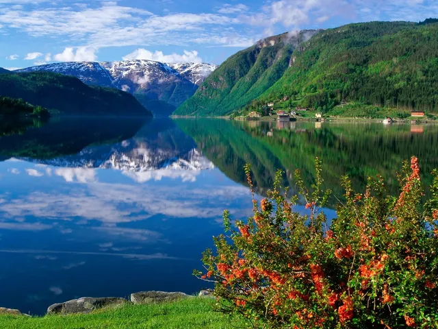 Hardangerfjord