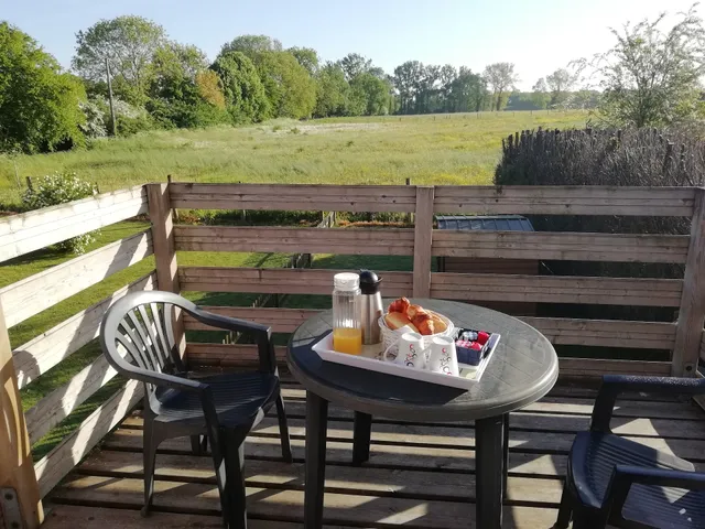 Le chant des oiseaux