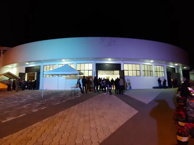 Ntra. Sra. de Guadalupe, Reina de México