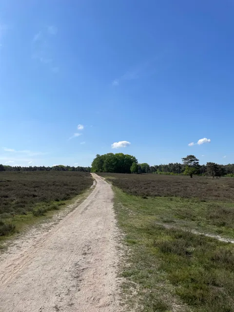 Wezepsche Heide