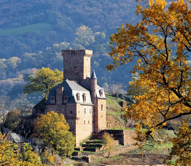 Chambres d'hôtes CHATEAU LA SERVAYRIE