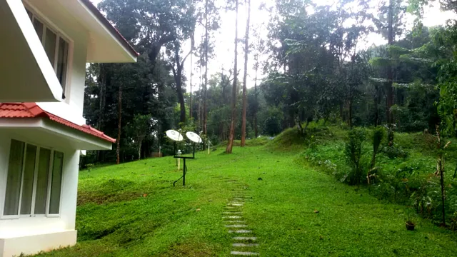 WoodyWoods Homestay