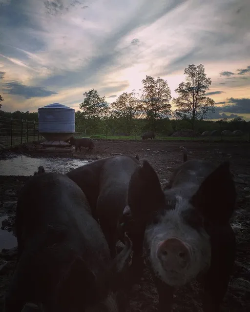 Johnk Family Farm LLC