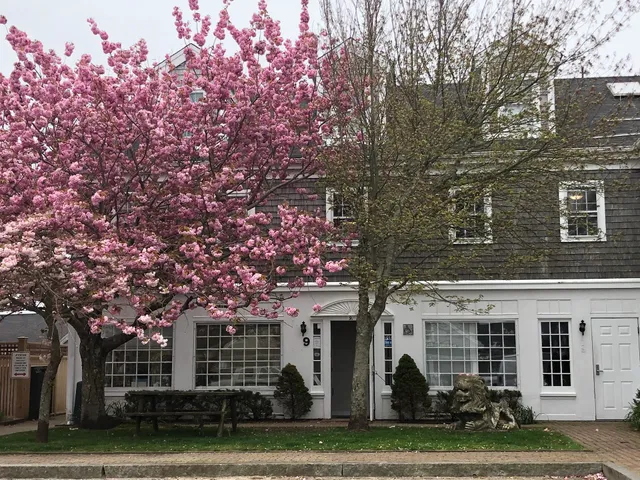 Nantucket Community Television