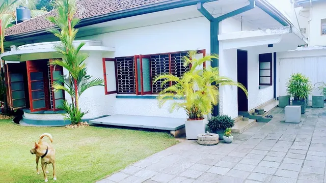 "27" Spathodea- Oasis in the city