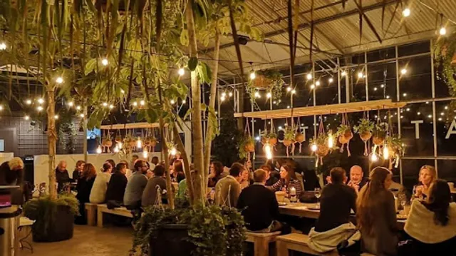 Cats kitchen / La Catarina Craft Beer