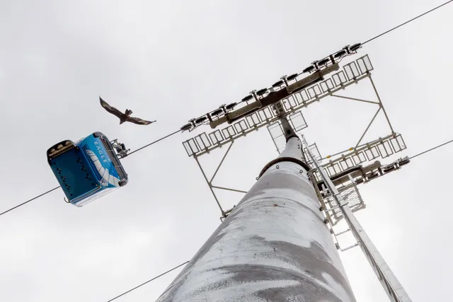 Arthurs Seat Eagle - Summit Station