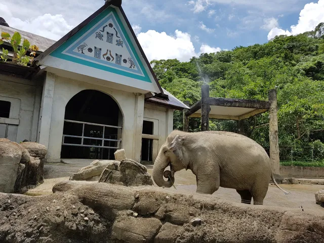 Waterfowl Observation Area