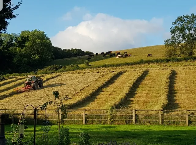 Bridge House Holidays