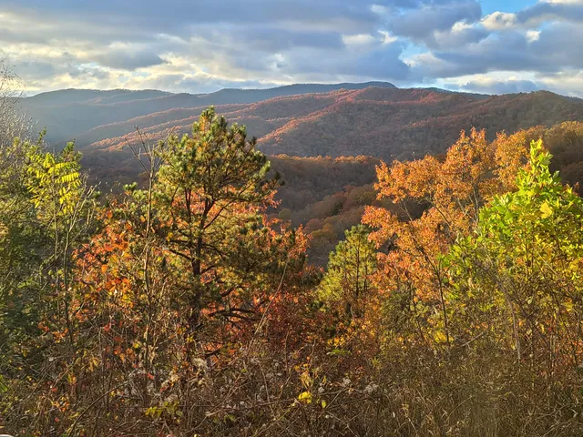Raven Fork Overlook