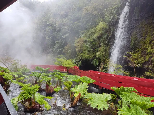 Tour a Termas Geométricas desde Villarrica, Pucón y Lican Ray