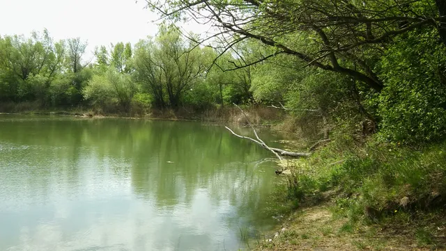 Duna-Ipoly National Park Directorate