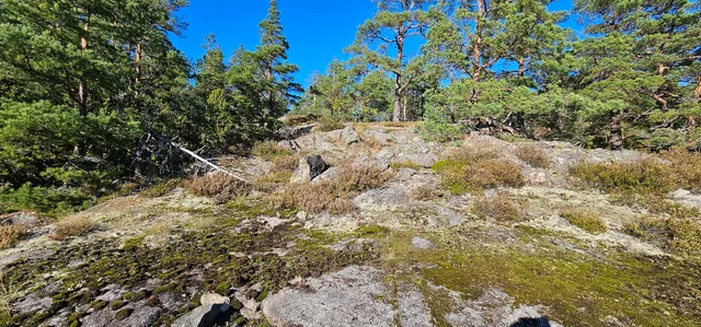 Ekobergets naturreservat