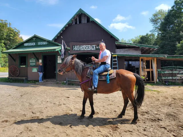 Adirondack Saddle Tours Inc