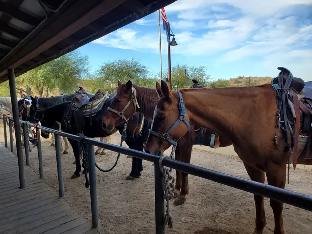 Ponderosa Stables Inc