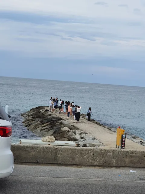 注文津海邊（주문진바다）