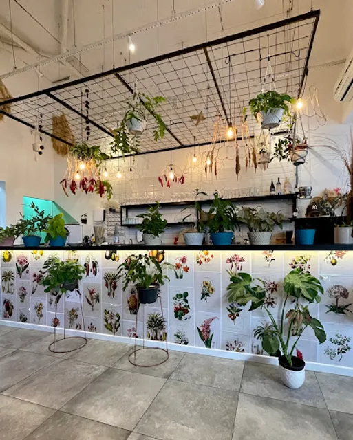 BOTÂNICO - Colheita Criativa