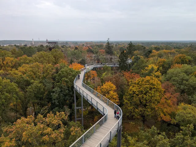 Baumkronenpfad Beelitz - Turm