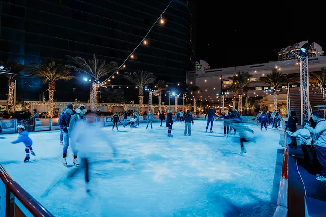Oasis Ice Rink