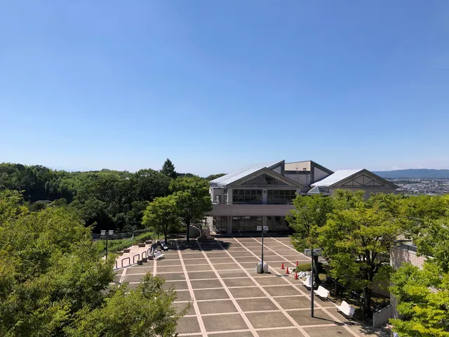 Nara University