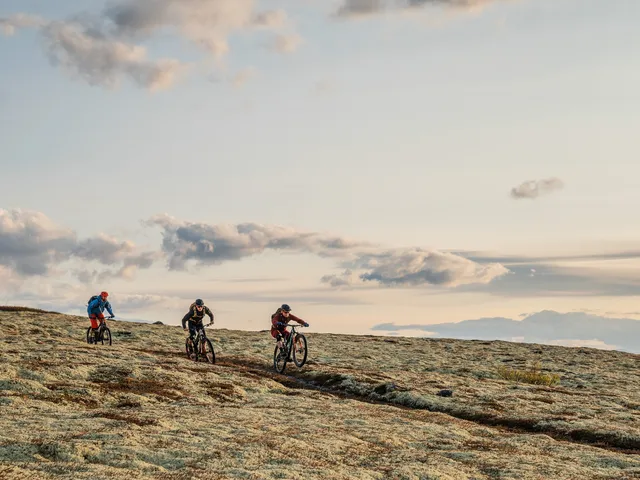Urørt Ski og Sykkeleventyr og Urørt Lodge