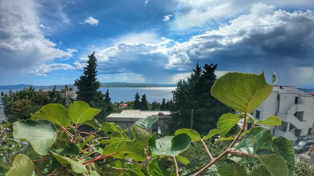 Apartments Matejčić