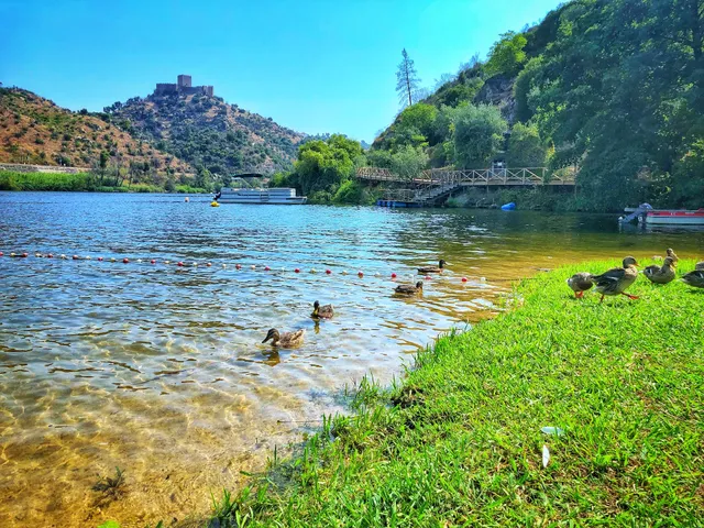 Restaurante/Bar Alamal