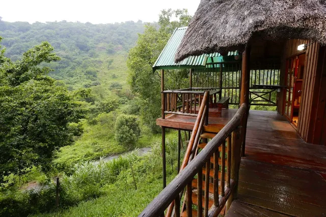 Tree House River Lodge