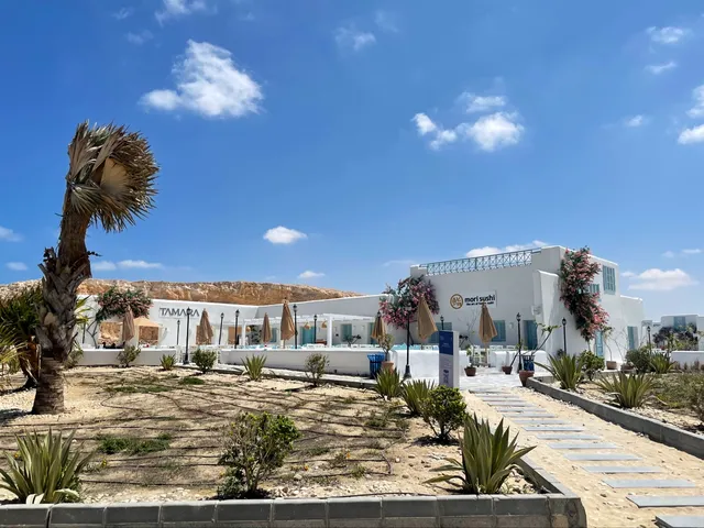 Mountain View Diplomats