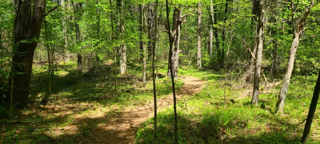 photo-3