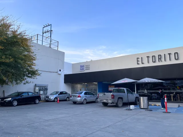 TOYO FOODS DEL VALLE