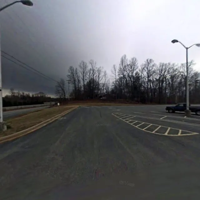 Lickin Lizard Ice Cream