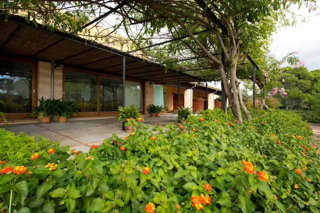 Ses Arenes Finca Agroturisme - WEB OFICIAL