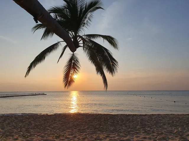 Bãi 3 Cây Dừa (Three Coconus Tree Beach) Longbeach