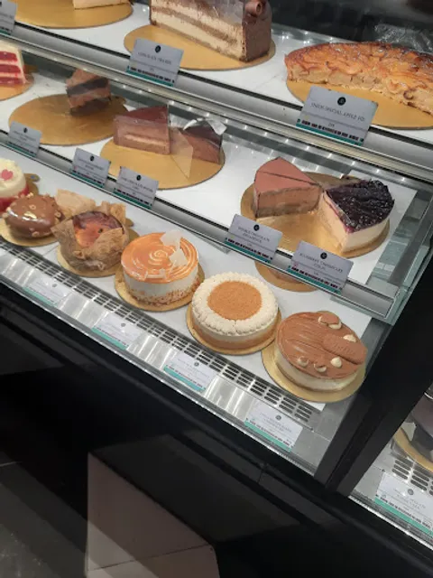 THEOS SECTOR 50 NOIDA