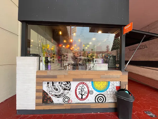 Cassava Roots Universidad