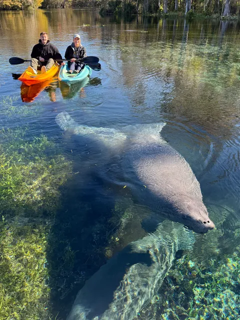 LiveWater Experiences: Eco-conscious Kayak Tours @Silver Springs & Florida Nature Experiences