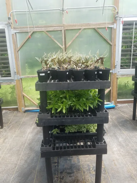 Sweet Briar Corner Market