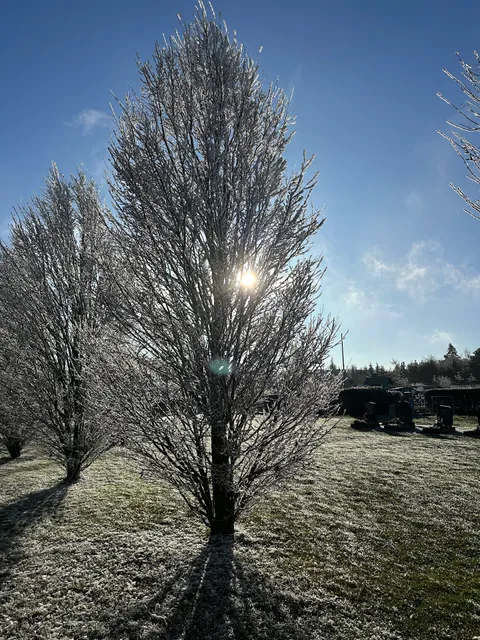 Apartments am Hainich