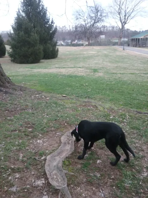 Kodak-Northview Optimist Park