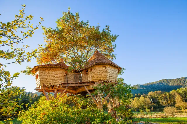Les Cabanes du Chêne Rouvre