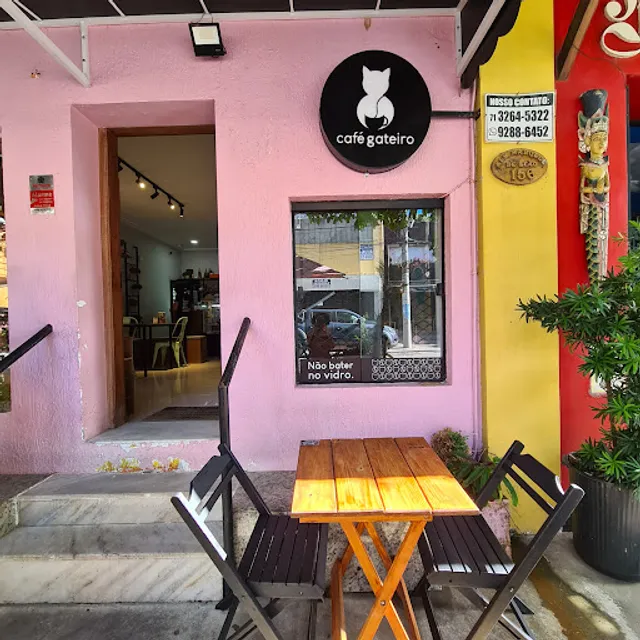 Café Gateiro - Cat Café