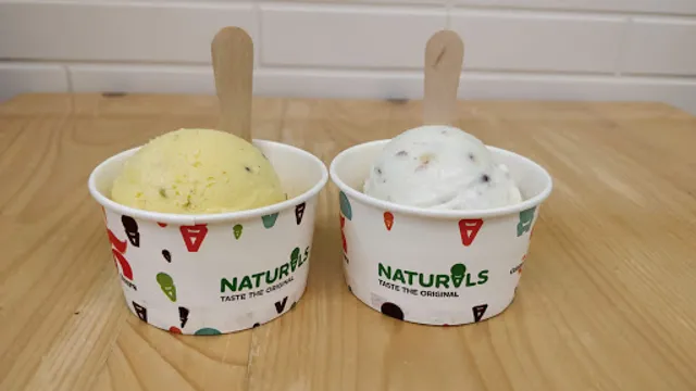 Naturals Ice Cream