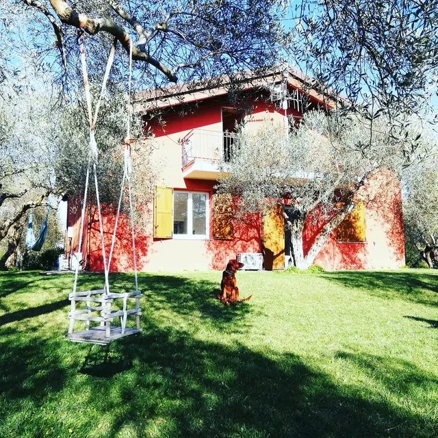 Residenza Uliveto Su Contu