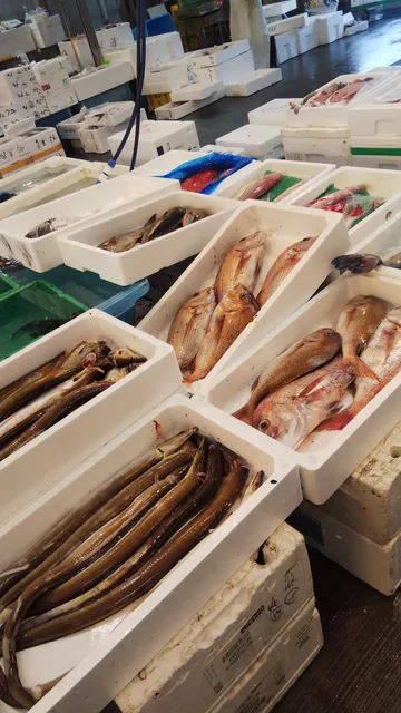 神戸市中央卸売市場本場