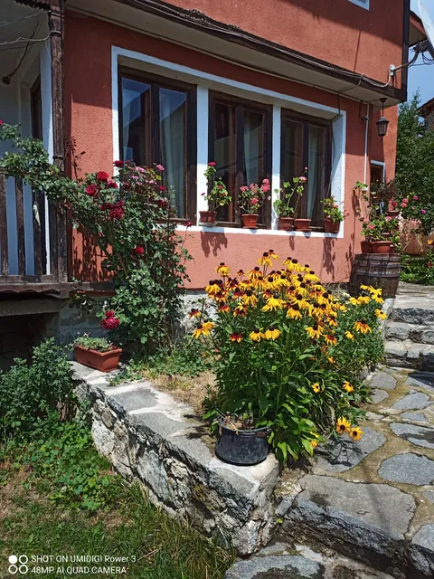 Guest House Velina