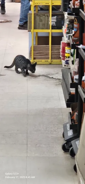 Grassy Creek Hardware