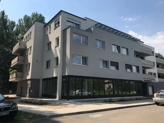 Thermal Forest Apartment